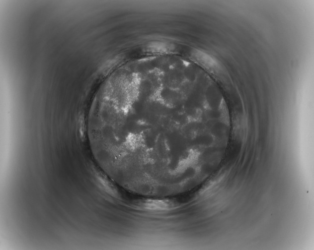 X0000086920457200704301100