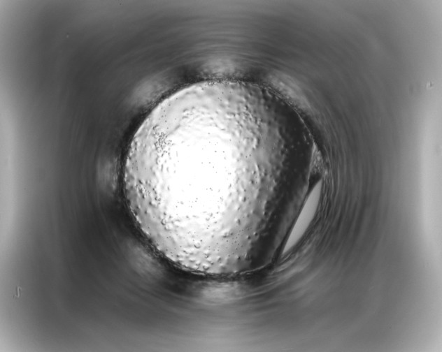 X0000086920458200704301100