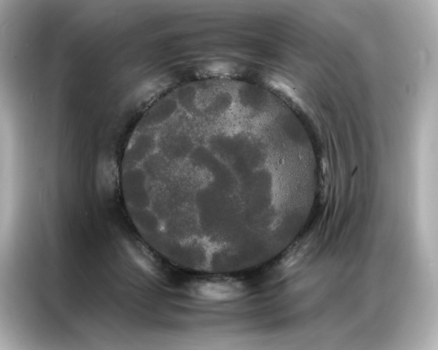 X0000086920459200704301100