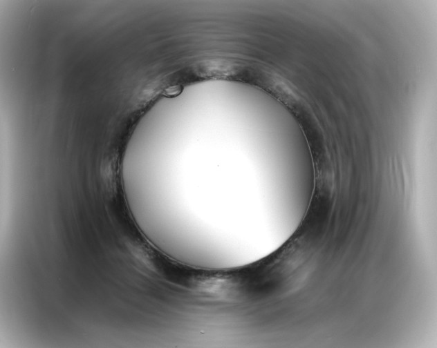 X0000086920460200704301100