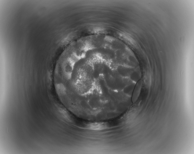X0000086920461200704301100