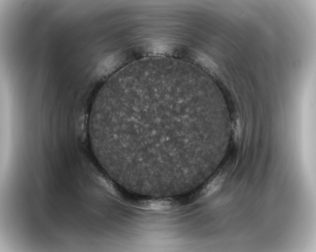 X0000086920462200704301100
