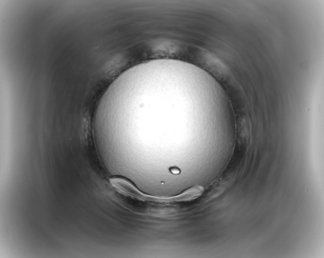 X0000086920463200704301100