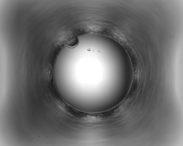 X0000086920464200704301100