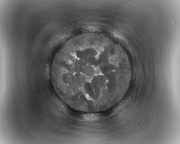 X0000086920465200704301100
