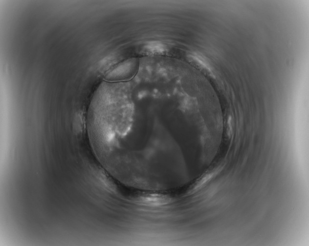 X0000086920467200704301100