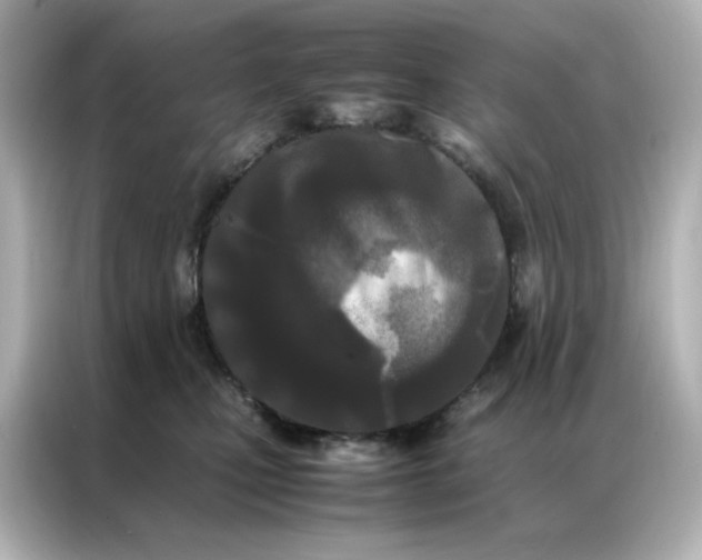 X0000086920471200704301101