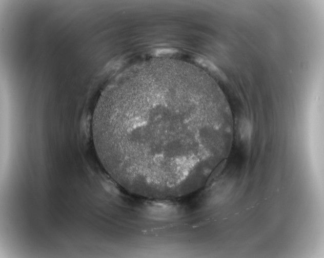 X0000086920475200704301101