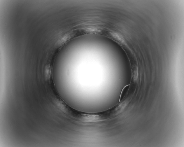 X0000086920476200704301101