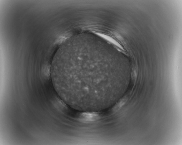 X0000086920477200704301101