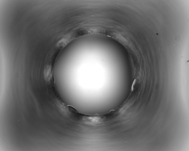 X0000086920478200704301101