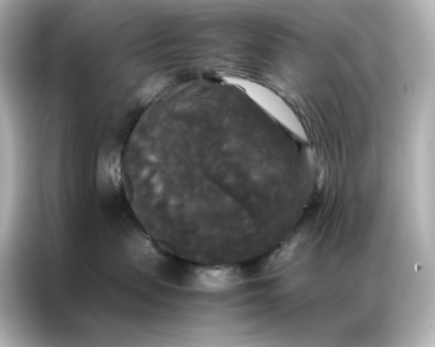 X0000086920479200704301101
