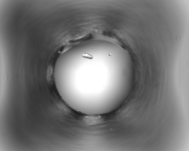 X0000086920480200704301101