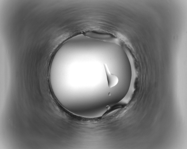X0000086920481200704301100