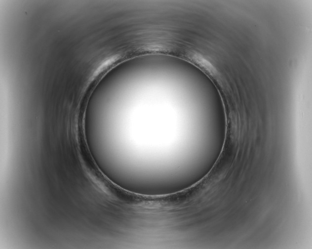 X0000086920482200704301100