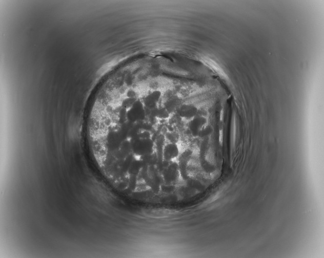 X0000086920483200704301100