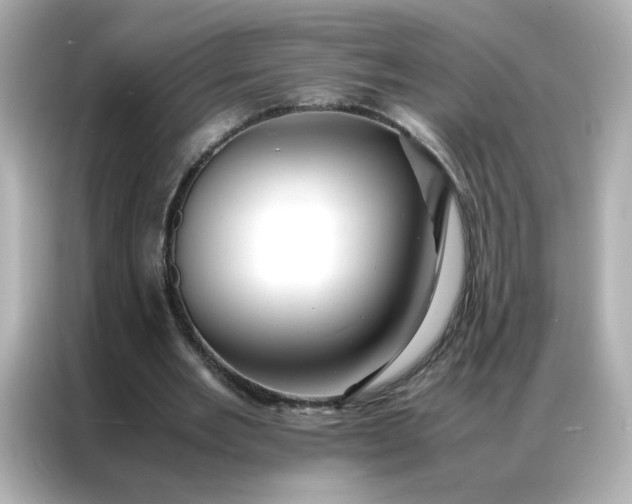 X0000086920485200704301100