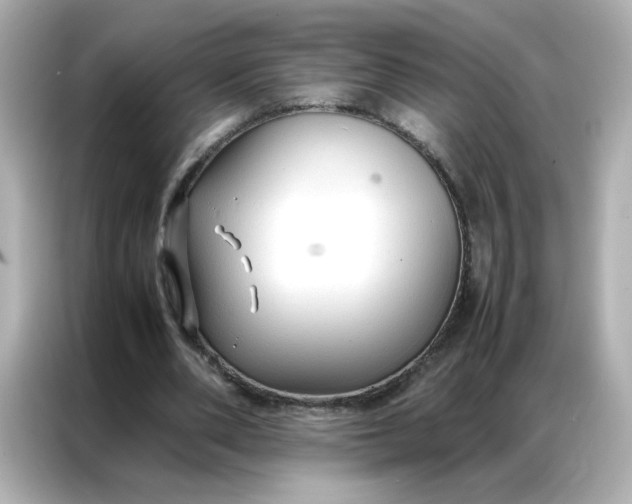 X0000086920486200704301100