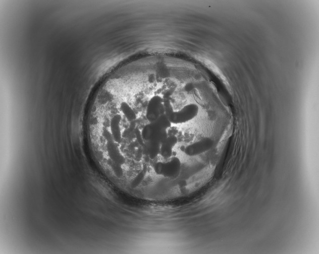 X0000086920487200704301100