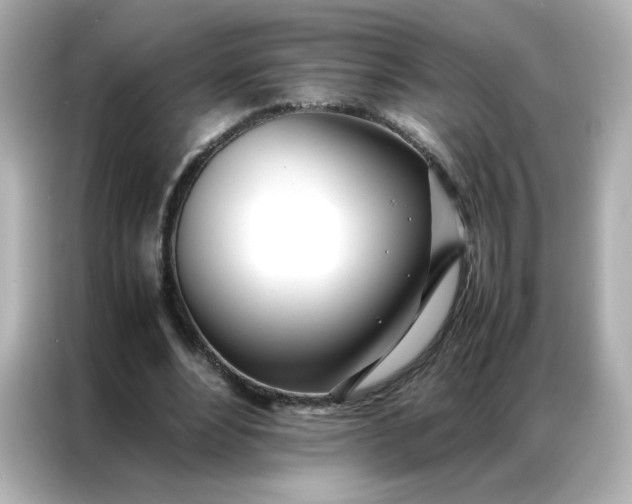 X0000086920488200704301100