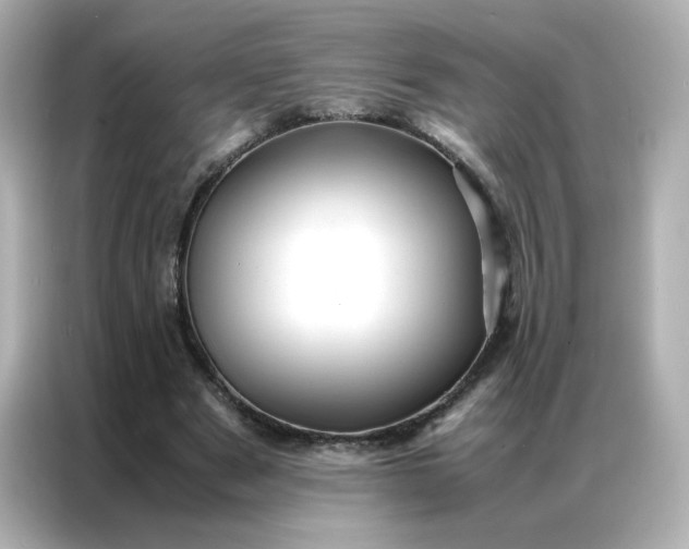 X0000086920489200704301100