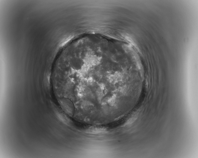 X0000086920491200704301100