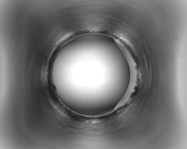 X0000086920492200704301100