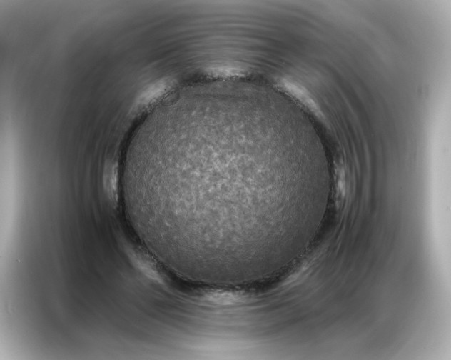 X0000086920494200704301100