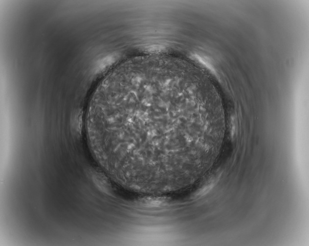 X0000086920495200704301100