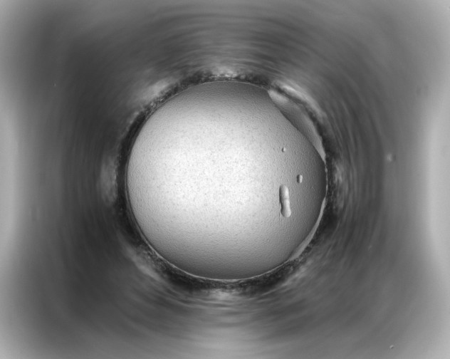 X0000086920496200704301100