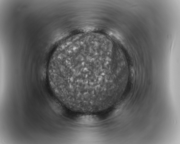 X0000086920499200704301100
