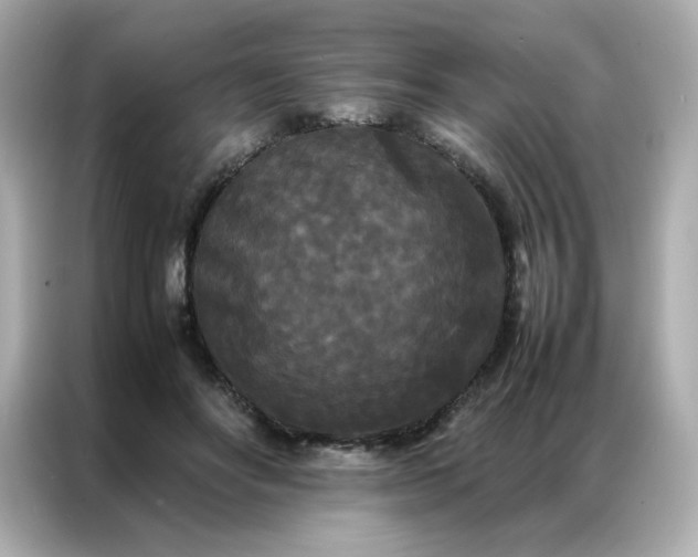 X0000086920502200704301100