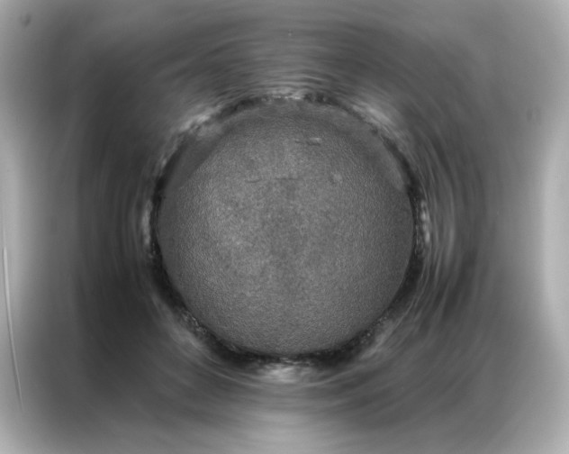 X0000086920504200704301100
