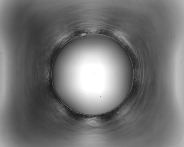 X0000086920505200704301100