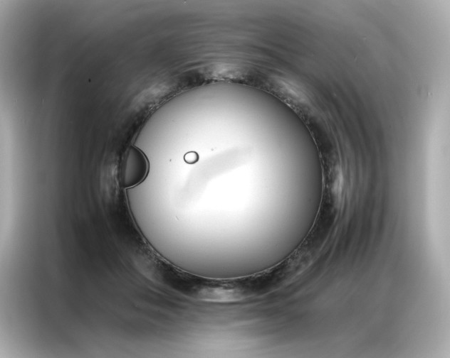 X0000086920506200704301100