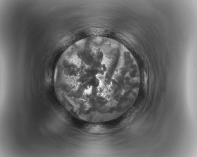 X0000086920507200704301100