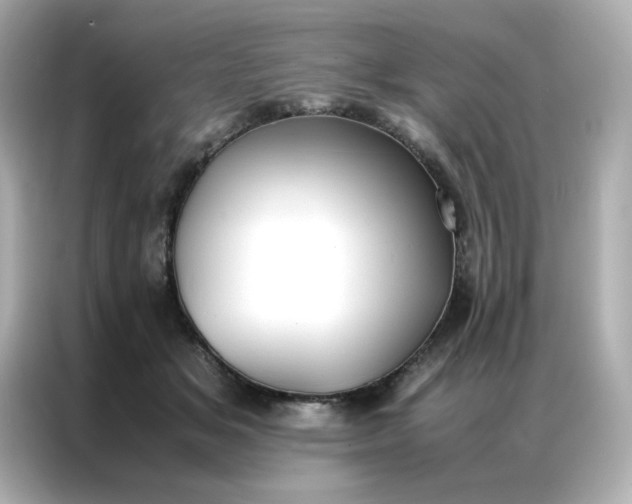 X0000086920509200704301100
