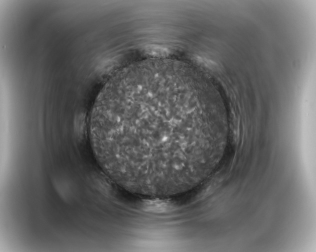 X0000086920511200704301100
