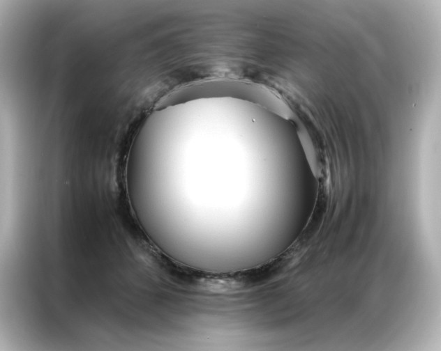 X0000086920512200704301100