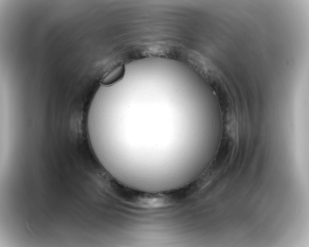 X0000086920514200704301100