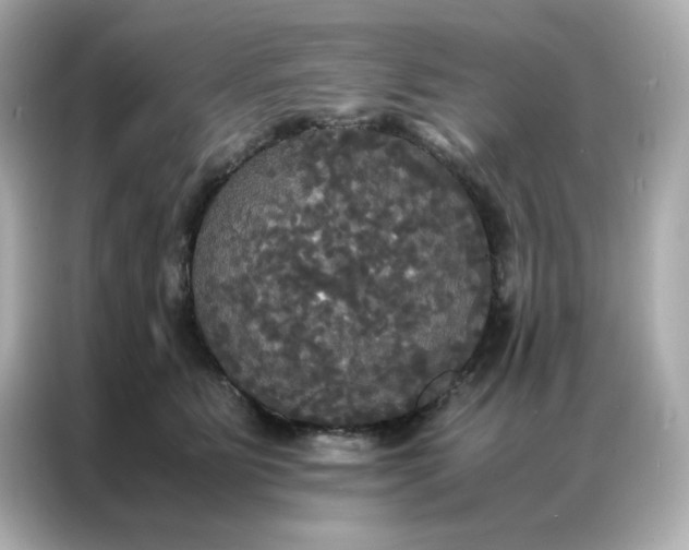 X0000086920515200704301100