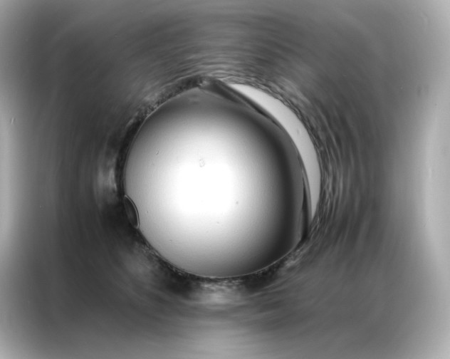 X0000086920516200704301100