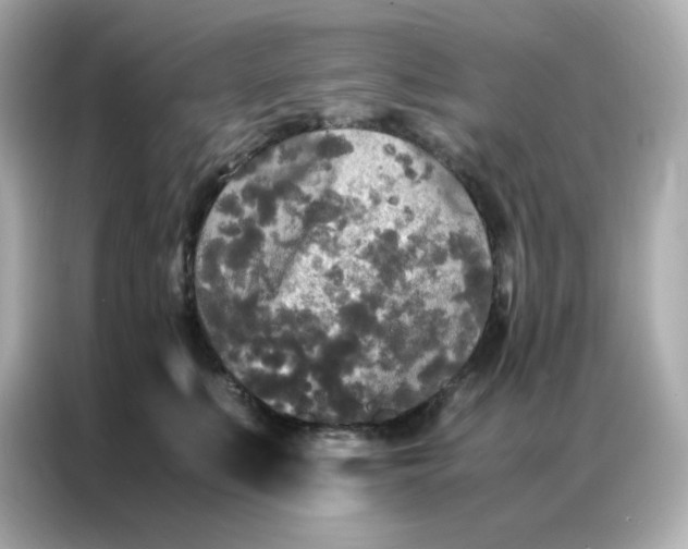 X0000086920519200704301100