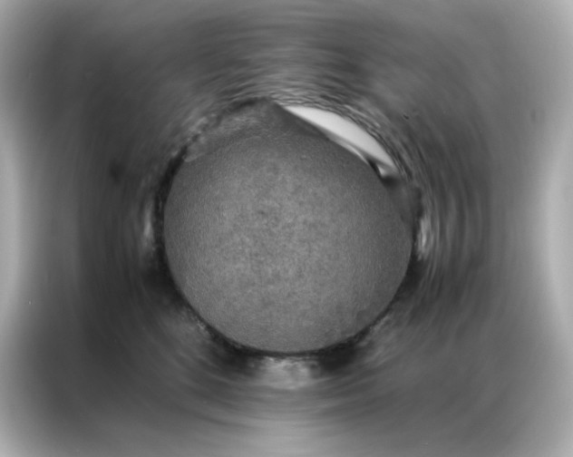 X0000086920520200704301100