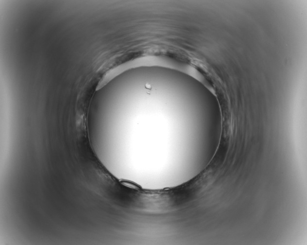 X0000086920521200704301100