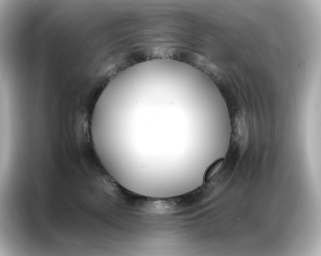 X0000086920522200704301059