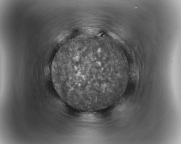 X0000086920523200704301059