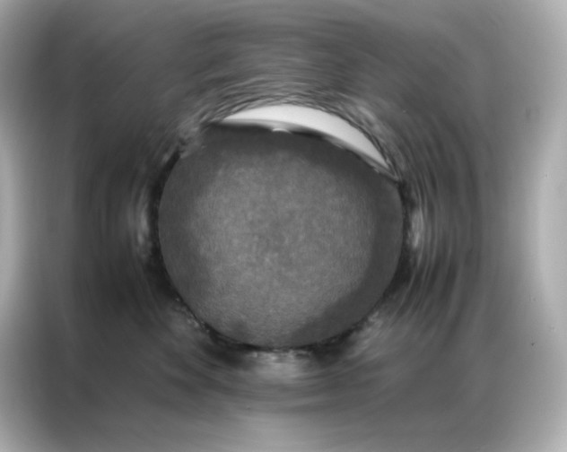 X0000086920524200704301059