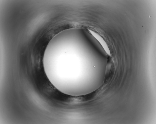X0000086920525200704301059