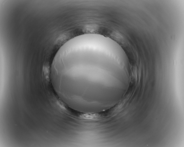 X0000086920526200704301059